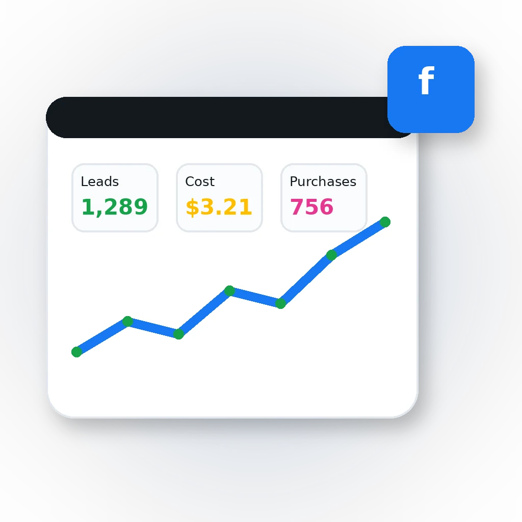 Facebook and Instagram ads management dashboard illustration